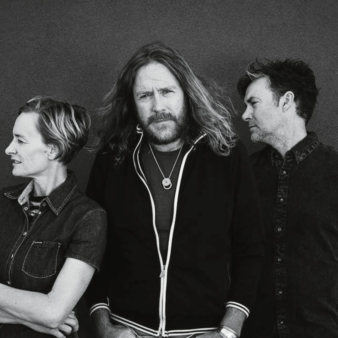 Spiderbait