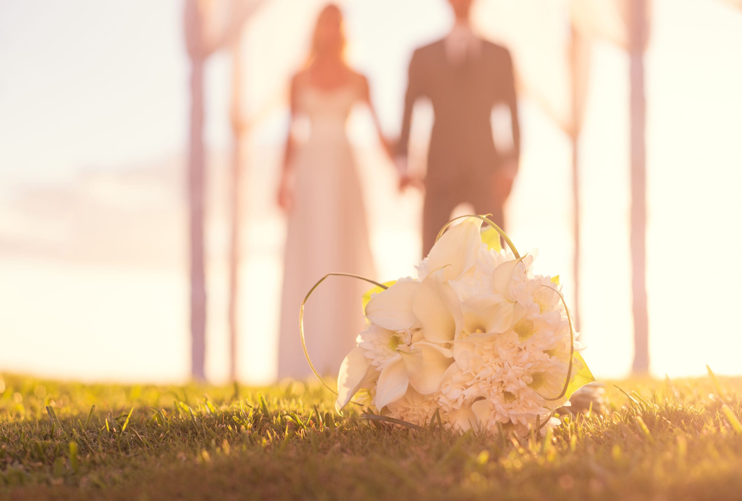 Newlyweds holding hands at an outdoor wedding