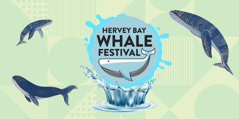 Hervey Bay Whale Festival